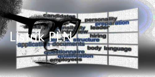 Listrik PLN Berhasil Jangkau 99,82% Desa di Indonesia, 89 Masih Belum
